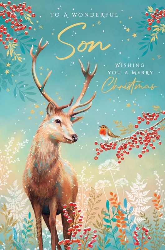 Son Christmas card