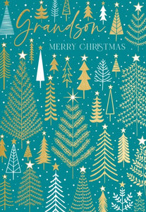 Grandson Christmas card