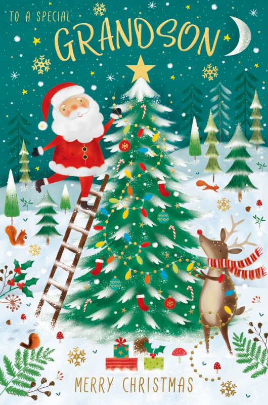 Grandson Christmas card
