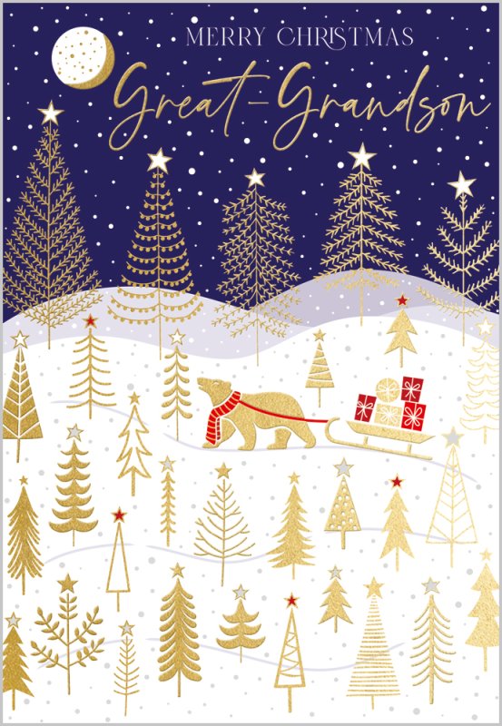 Great-Grandson Christmas card