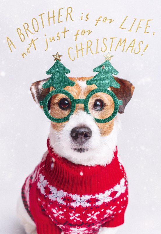 Brother Christmas card
