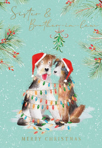 Sister and Brother in Law Christmas card