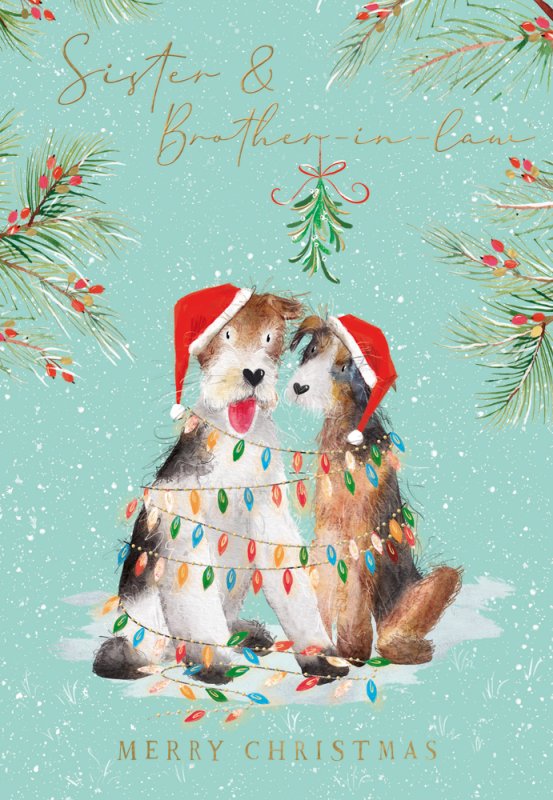 Sister and Brother in Law Christmas card