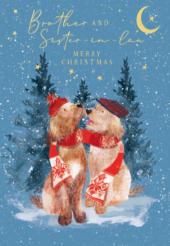 Brother and Sister in Law Christmas card
