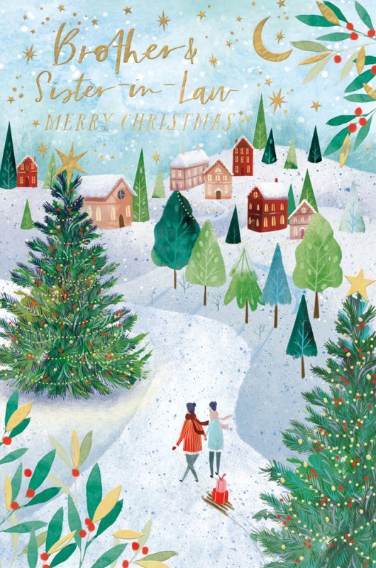 Brother and Sister in Law Christmas card
