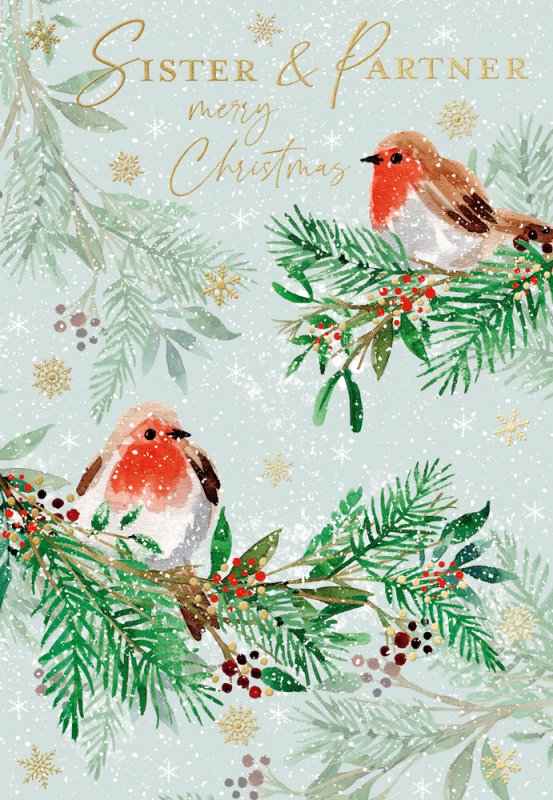 Sister and Partner Christmas card