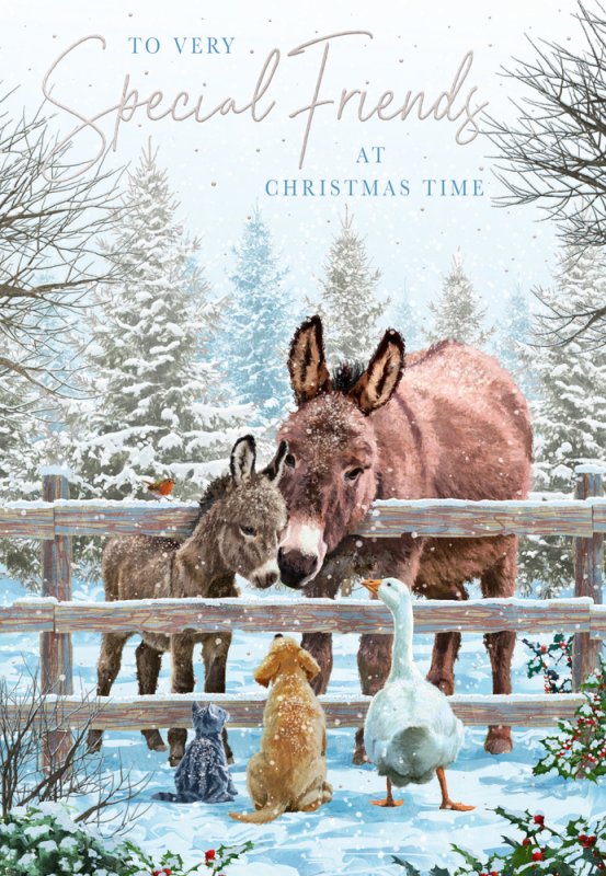 Special Friends Christmas card