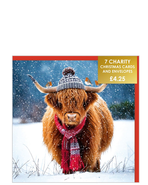Highland cow and robins - Pack of 7 charity Christmas cards
