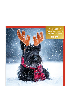 Jolly Scottish Terrier - Pack of 7 charity Christmas cards