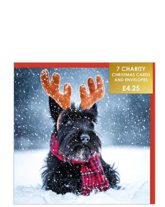 Jolly Scottish Terrier - Pack of 7 charity Christmas cards