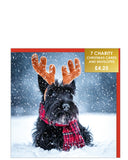 Jolly Scottish Terrier - Pack of 7 charity Christmas cards