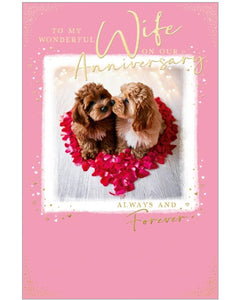 To my wonderful Wife - Anniversary card