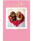 To my wonderful Wife - Anniversary card