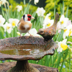 Goldfinch - Nature Tales blank card
