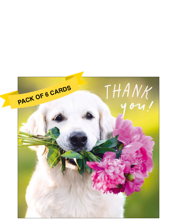 Labrador with flowers - Pack of 6 thank you cards