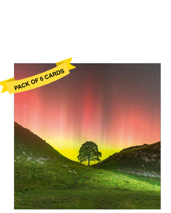 Send a thoughtful message with this striking pack of six blank notelets from Abacus cards, featuring a breathtaking photographic image of the iconic tree at Sycamore Gap, beautifully silhouetted against the vibrant glow of the Northern Lights. This atmospheric design captures the magic of the night sky and one of the UK’s most loved natural landmarks.