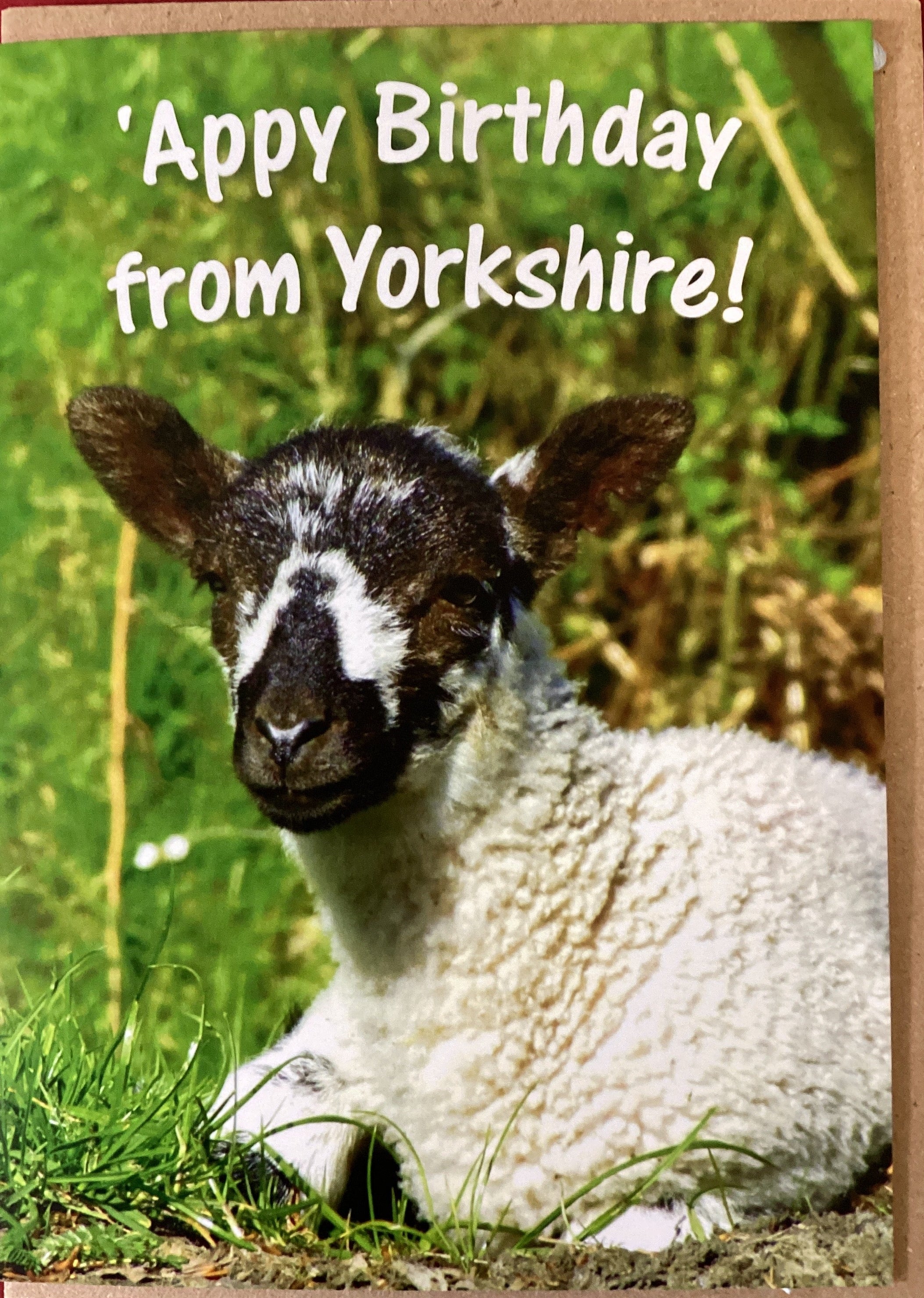 ‘Appy Birthday from Yorkshire.   Cowshed cards