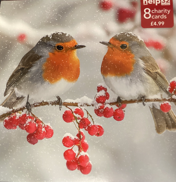 Robins in the snow - Pack of 8 Charity Christmas cards