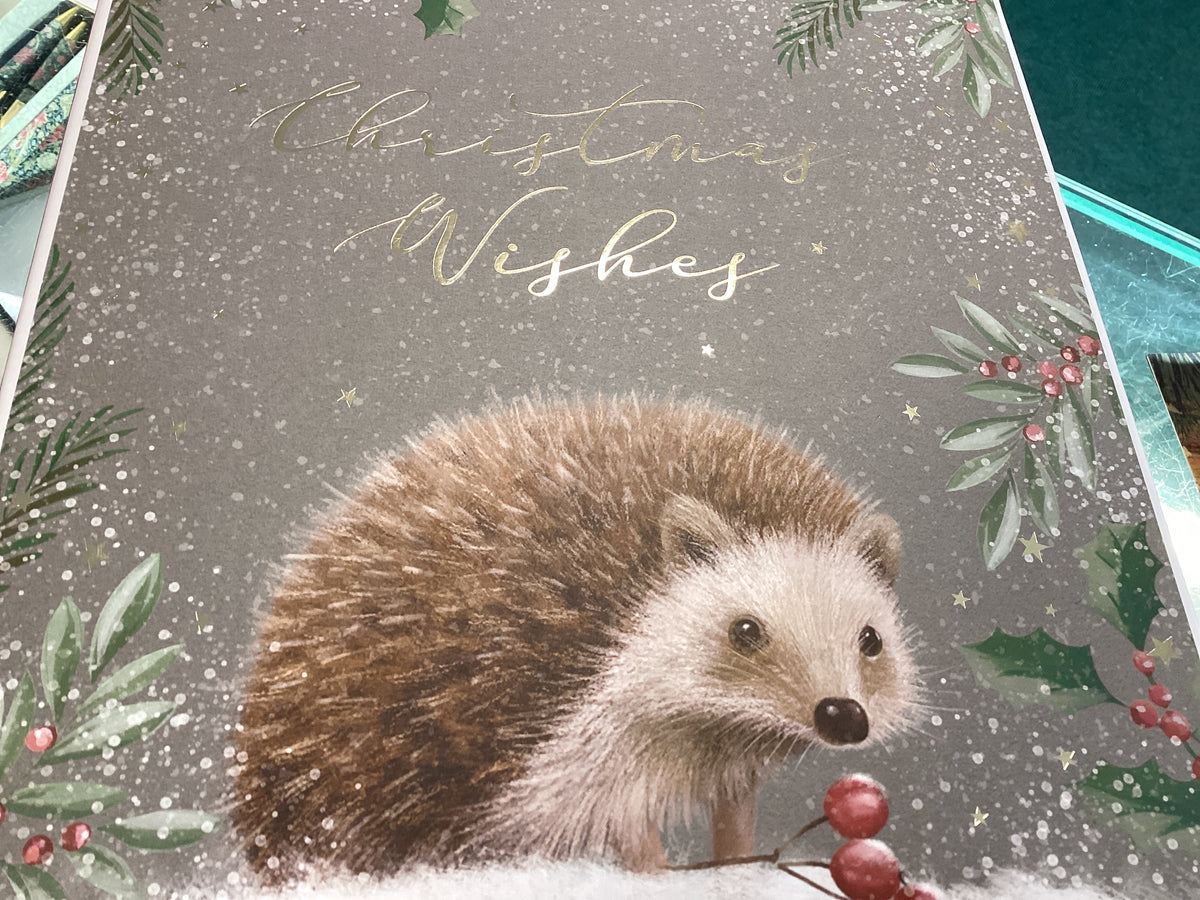 Xmas hedgehog gift box