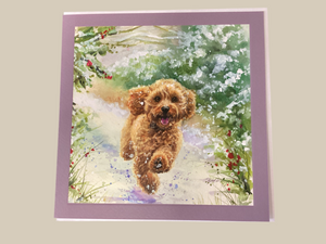Copper the cockapoo dog - Bree Merryn Christmas card