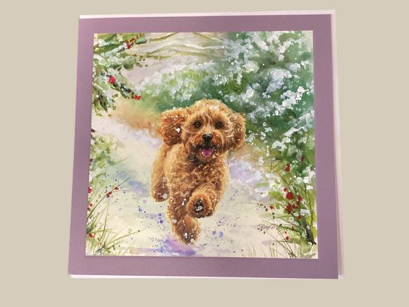 Copper the cockapoo dog - Bree Merryn Christmas card