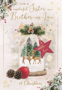 Sister & Brother-in-Law Christmas card SIZE
