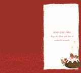 Brother & Sister-in-Law Christmas card