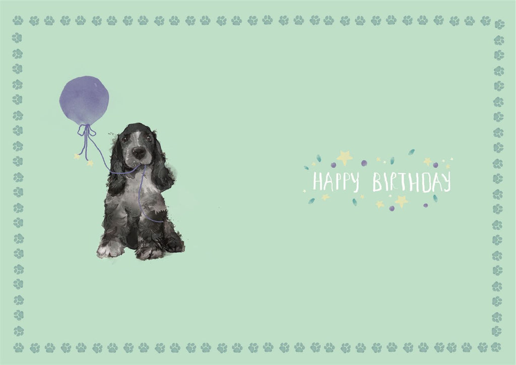 Cocker Spaniel Birthday card