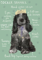 Cocker Spaniel Birthday card
