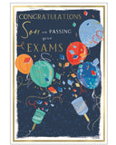 Son you passed your exams - Congratulations card