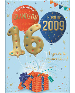 Celebrate your grandson's special day with a gift that will take him back in time! This clever 16th birthday card features intriguing tidbits and factoids about the year he was born. Discover together the top hits, blockbuster films, and noteworthy events that made 2009 a year to remember. Show him that he's one of a kind with this charming and amusing 16th birthday card.
