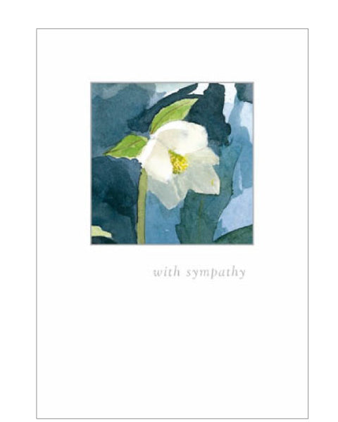 White Hellebore - Sympathy card