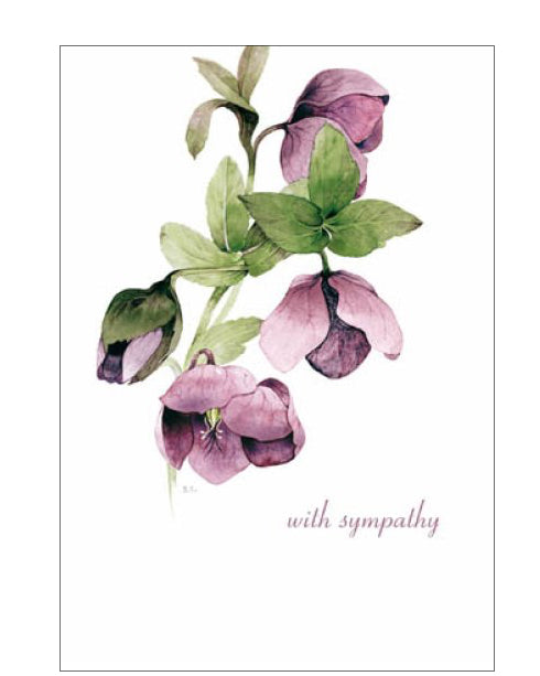 Lilac Hellebore - Sympathy Card