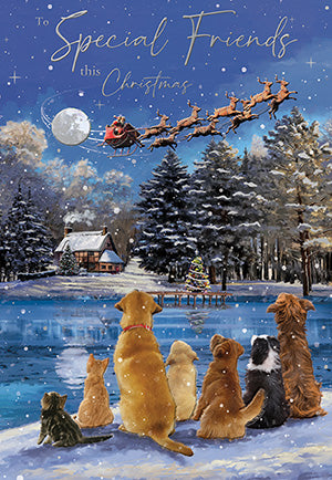 Special friends -  Christmas card