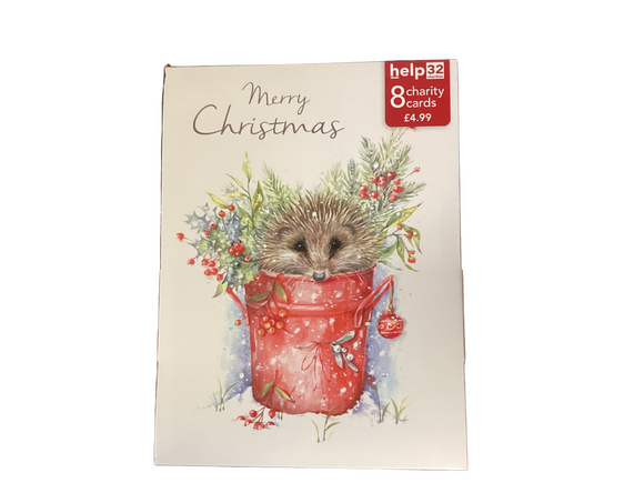 Hedgehog - Pack of 8 Charity Christmas cards