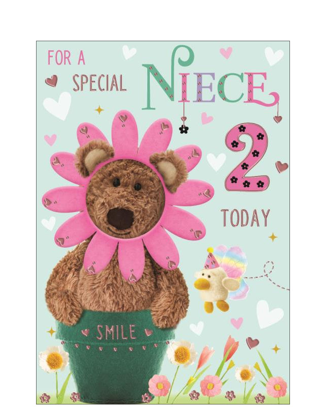 Special Niece - 2nd birthday card