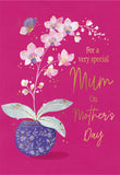 Special Mum - Mother's Day card