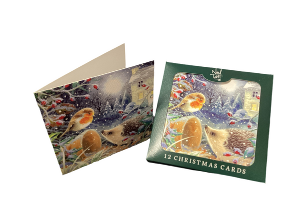 Robin and hedgehog - Box of 12 Christmas cards