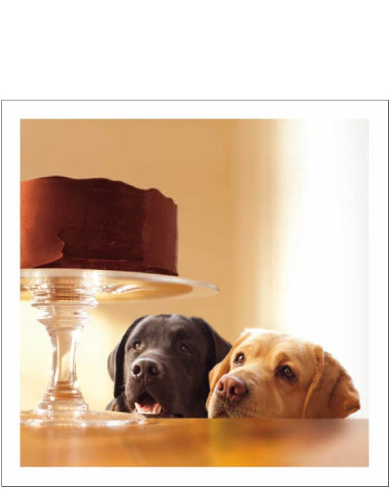 Forbidden Treasure - Loose Leashes greetings card