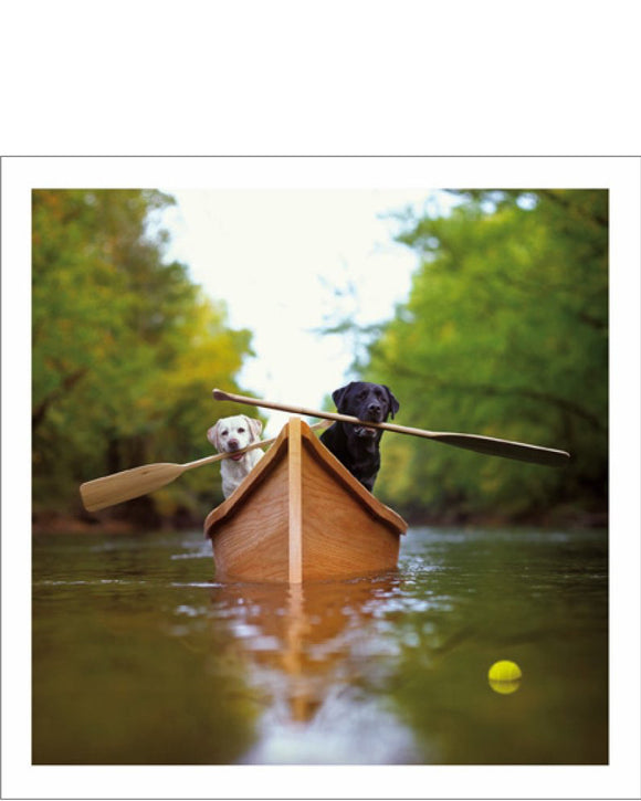 This blank card is from the fantastic Loose Leashes greetings card range, featuring beautiful photographs of dogs enjoying life to the fullest. Daring explorers Lewie and Clark will tackle any field, forest or stream in their quest for coveted treasures...well, tennis balls.