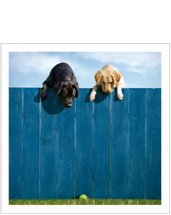 Out of the Park - Loose Leashes blank cute dog card