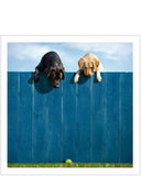 Out of the Park - Loose Leashes blank cute dog card