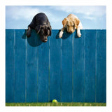 Out of the Park - Loose Leashes blank cute dog card