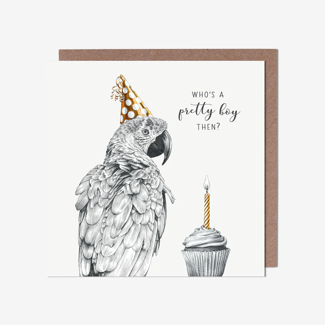 Parrot - birthday card