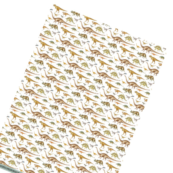 Dinosaurs of the Natural History Museum - wrapping paper sheet