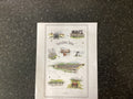 Yorkshire Dales  tea-towel
