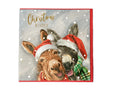 Christmas Donkeys - christmas card
