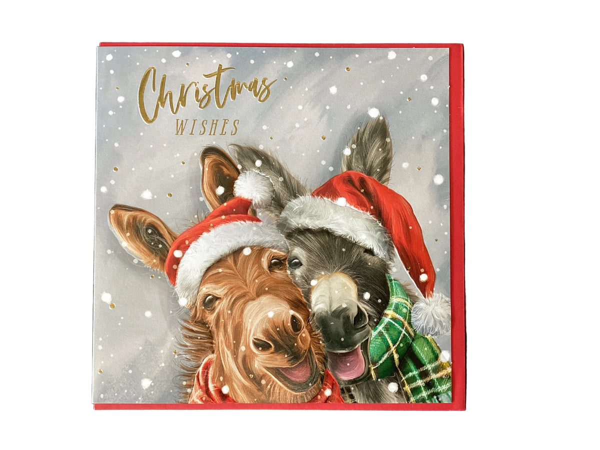 Christmas Donkeys - christmas card