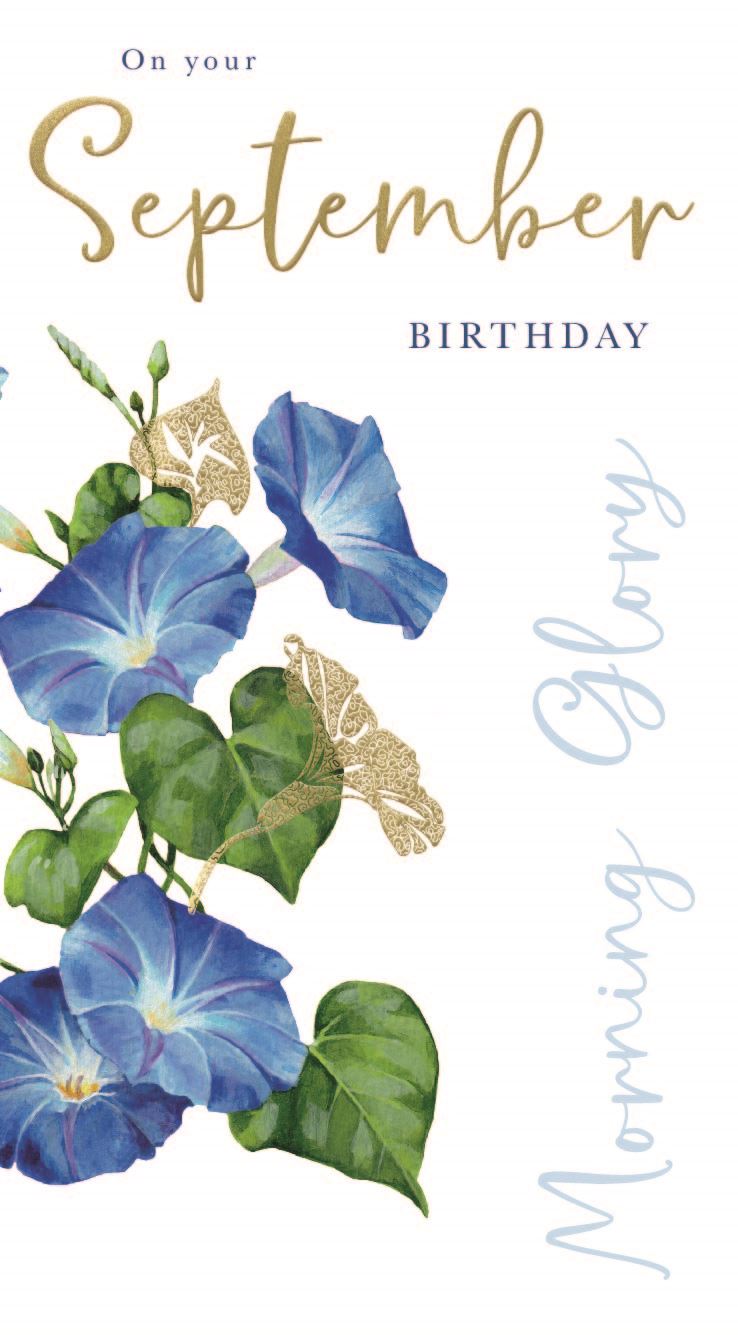 On Your September Birthday - Birthday Card