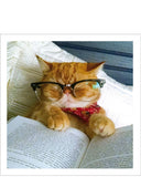 Bookworm cat - Cattitude greetings card
